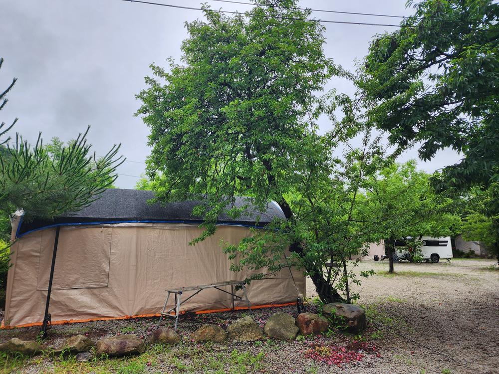 약사밤나무집 캠핑장