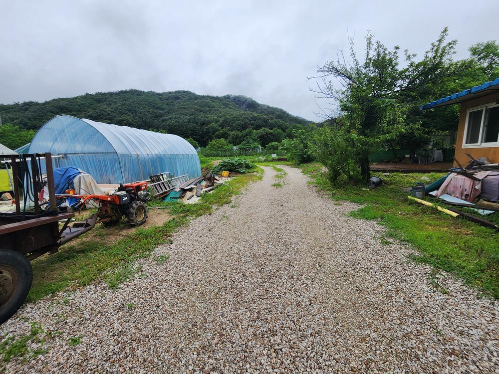 약사밤나무집 캠핑장