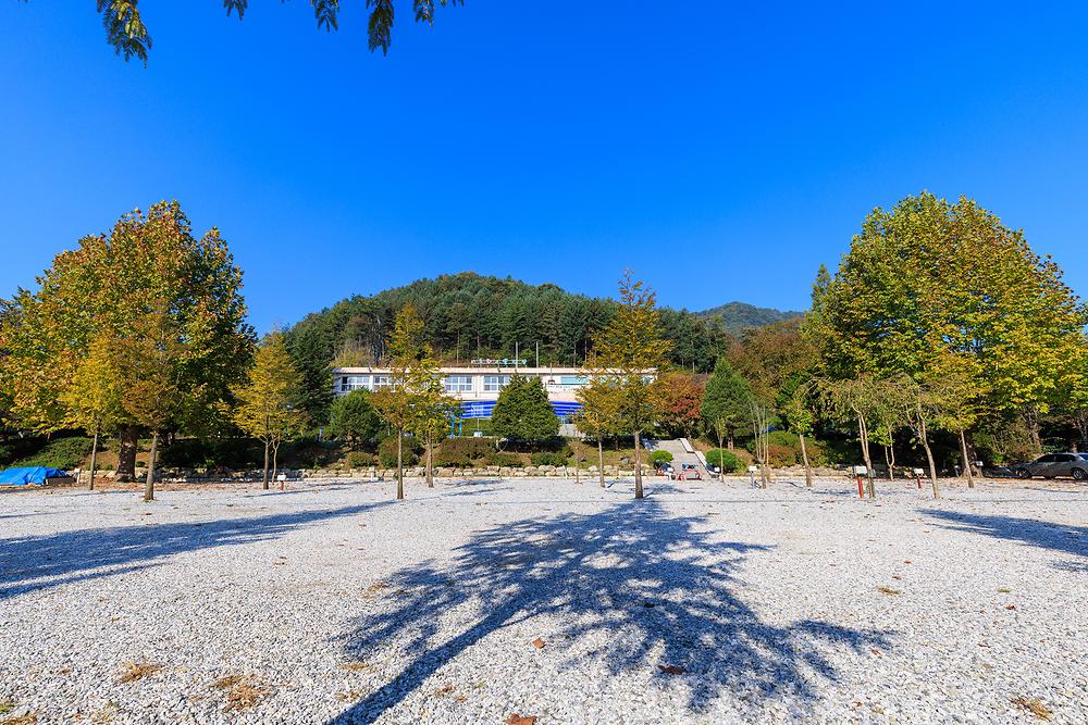 시골학교캠핑장