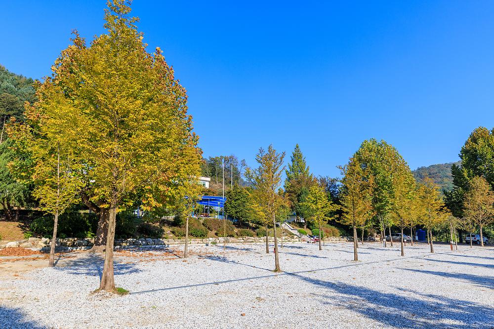 시골학교캠핑장