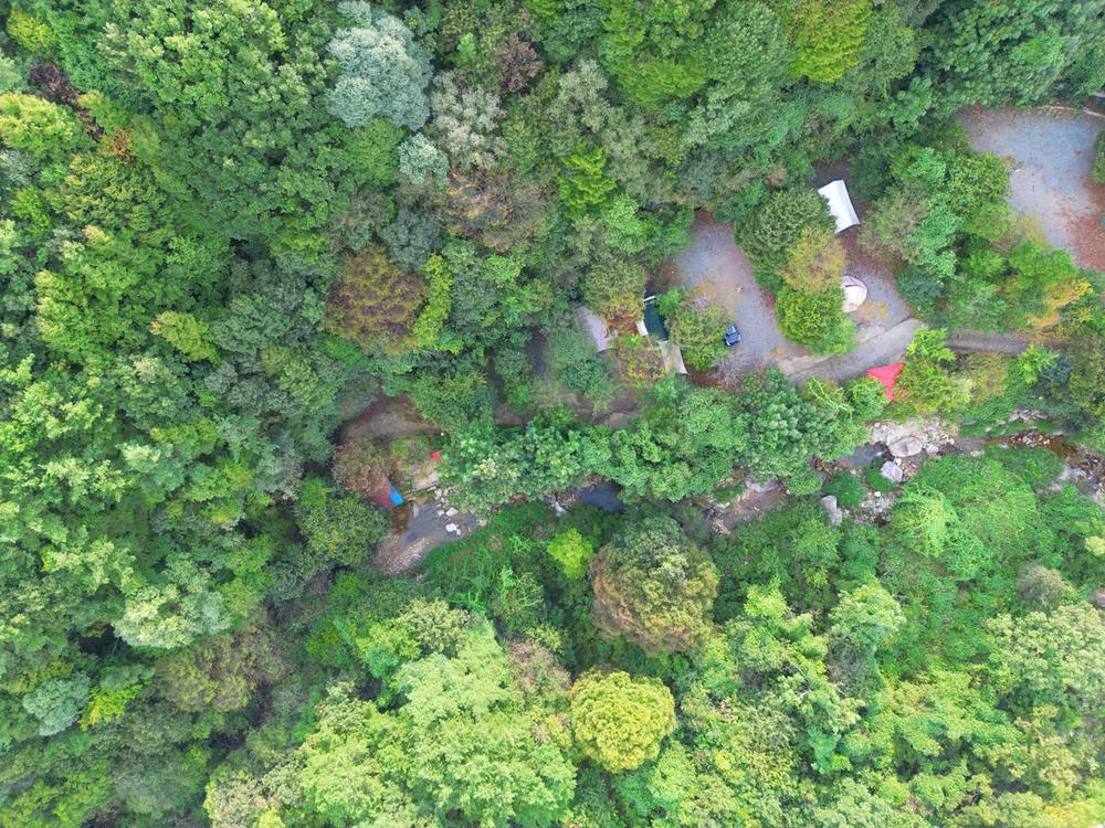 가야산백운오토캠핑장