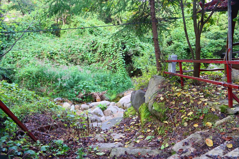 가야산백운오토캠핑장