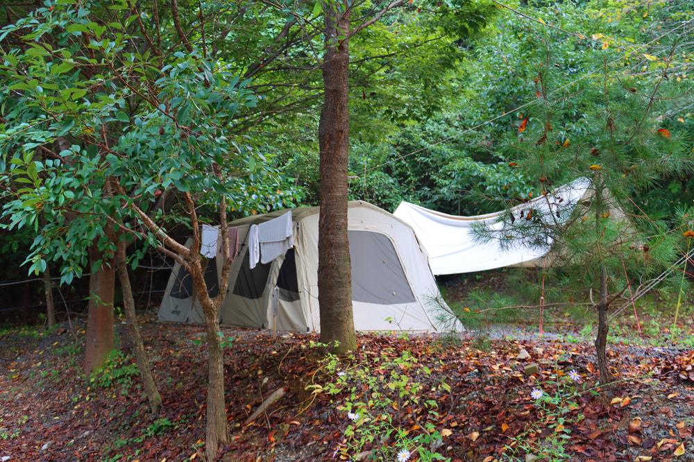 가야산백운오토캠핑장