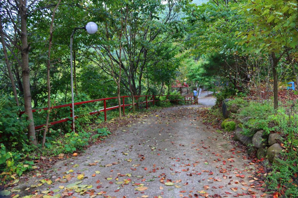 가야산백운오토캠핑장