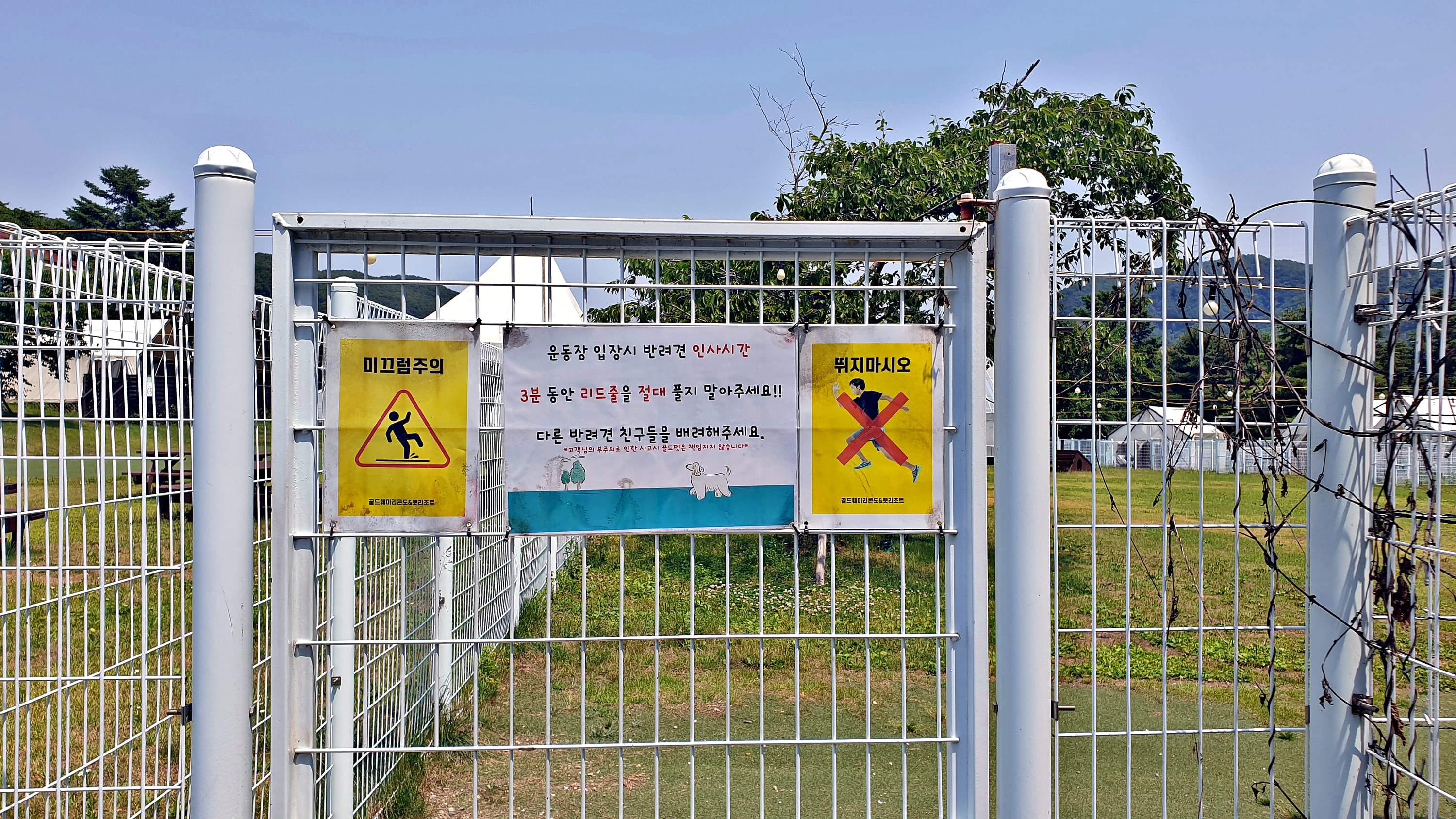 골드펫리조트