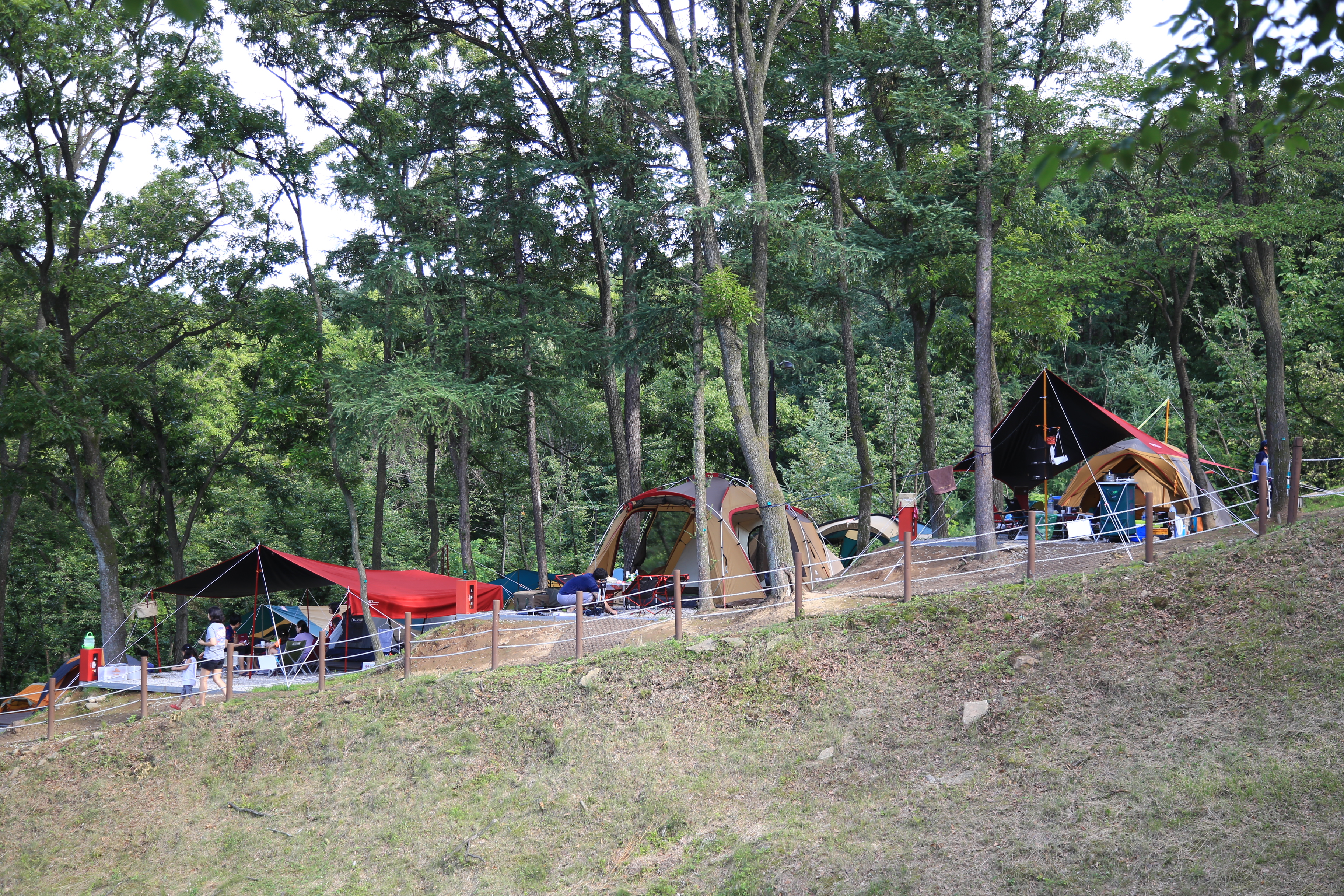 덕산국민여가캠핑장