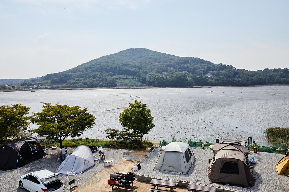 강화도 크로바 캠핑장