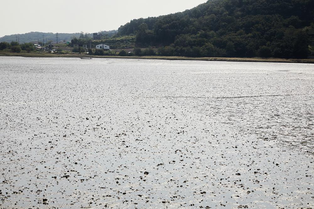 강화도 크로바 캠핑장
