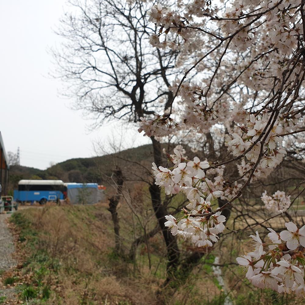 러빙유 카라반 캠핑장