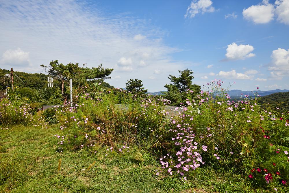 참살이 가족 캠핑장