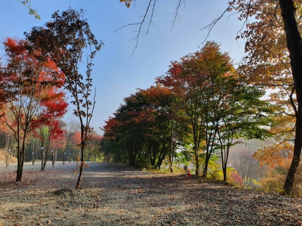 달빛야영장