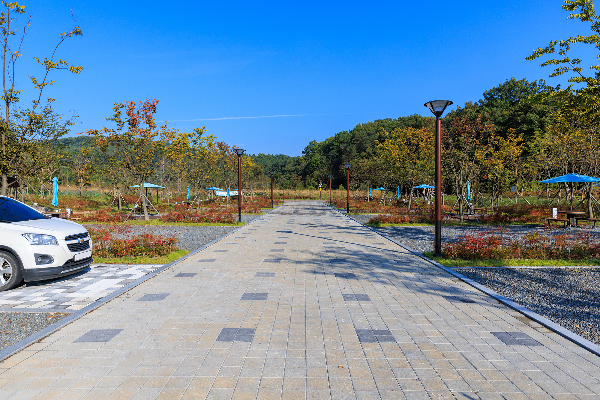 하기숲 캠핑장
