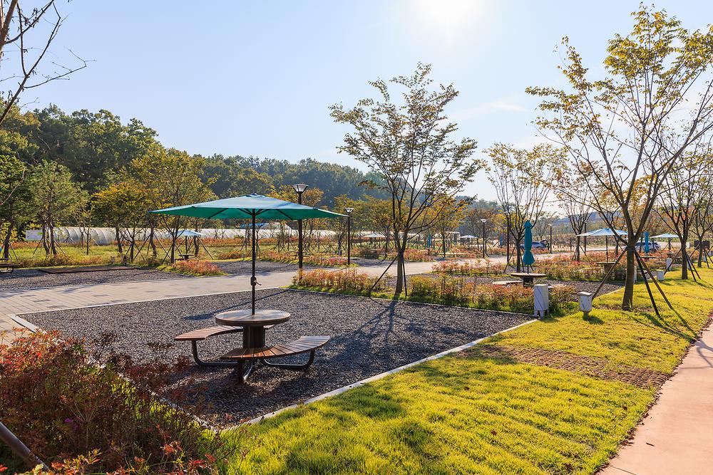 하기숲 가족캠핑장