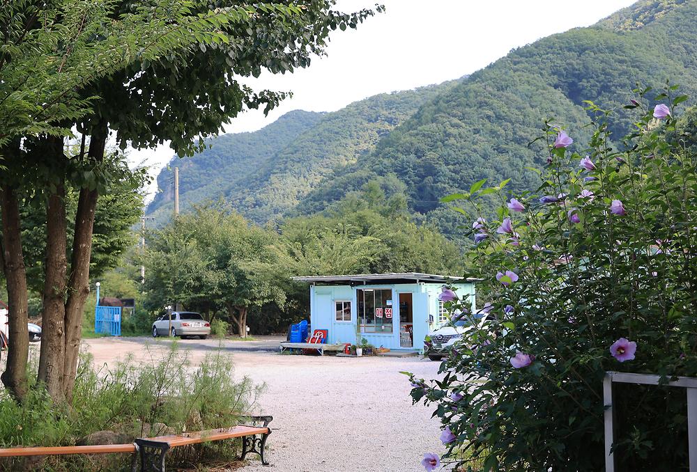 담터 금학캠핑장