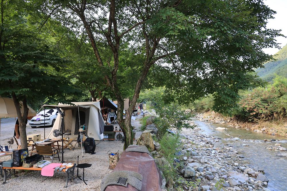 담터 금학캠핑장