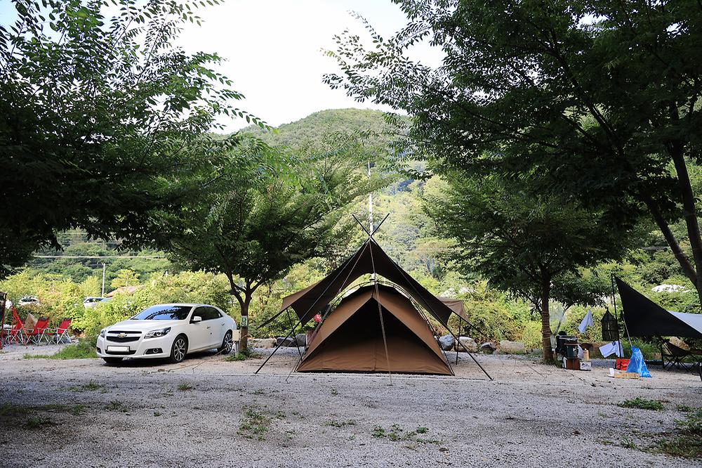담터 금학캠핑장