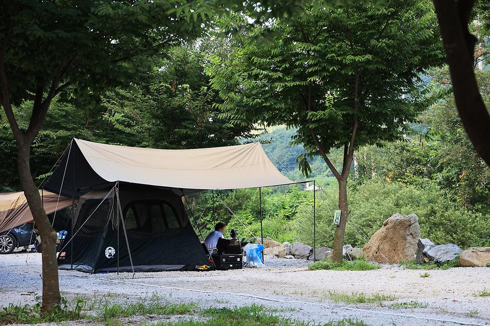 담터 금학캠핑장