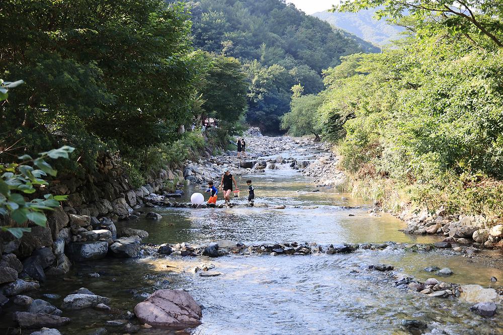 담터 금학캠핑장