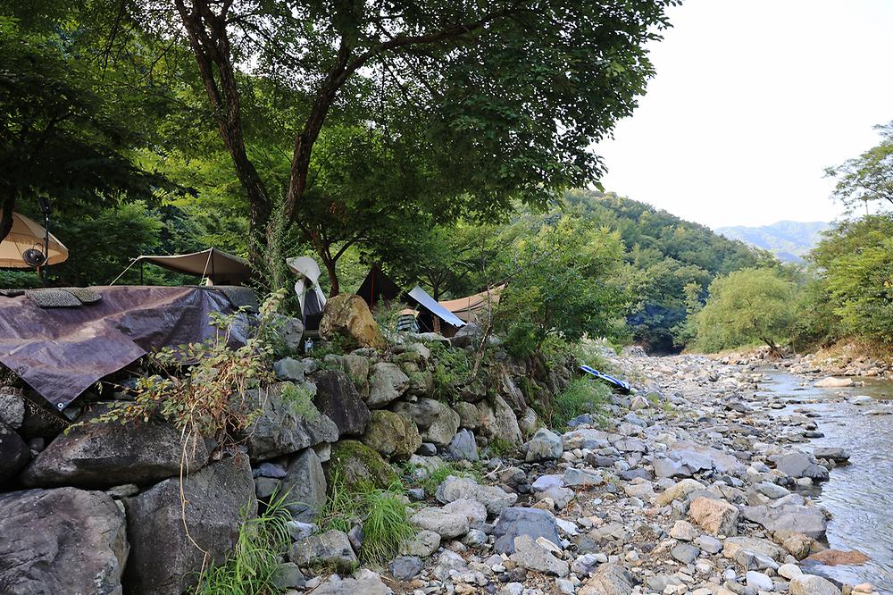 담터 금학캠핑장