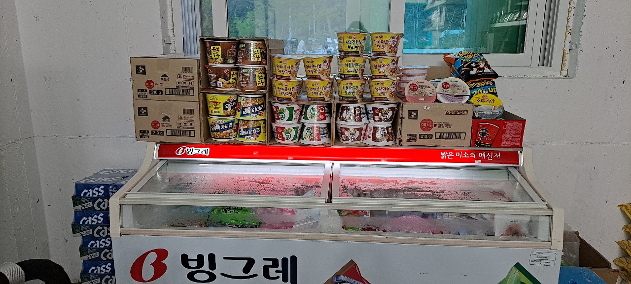 파인트리캠핑장