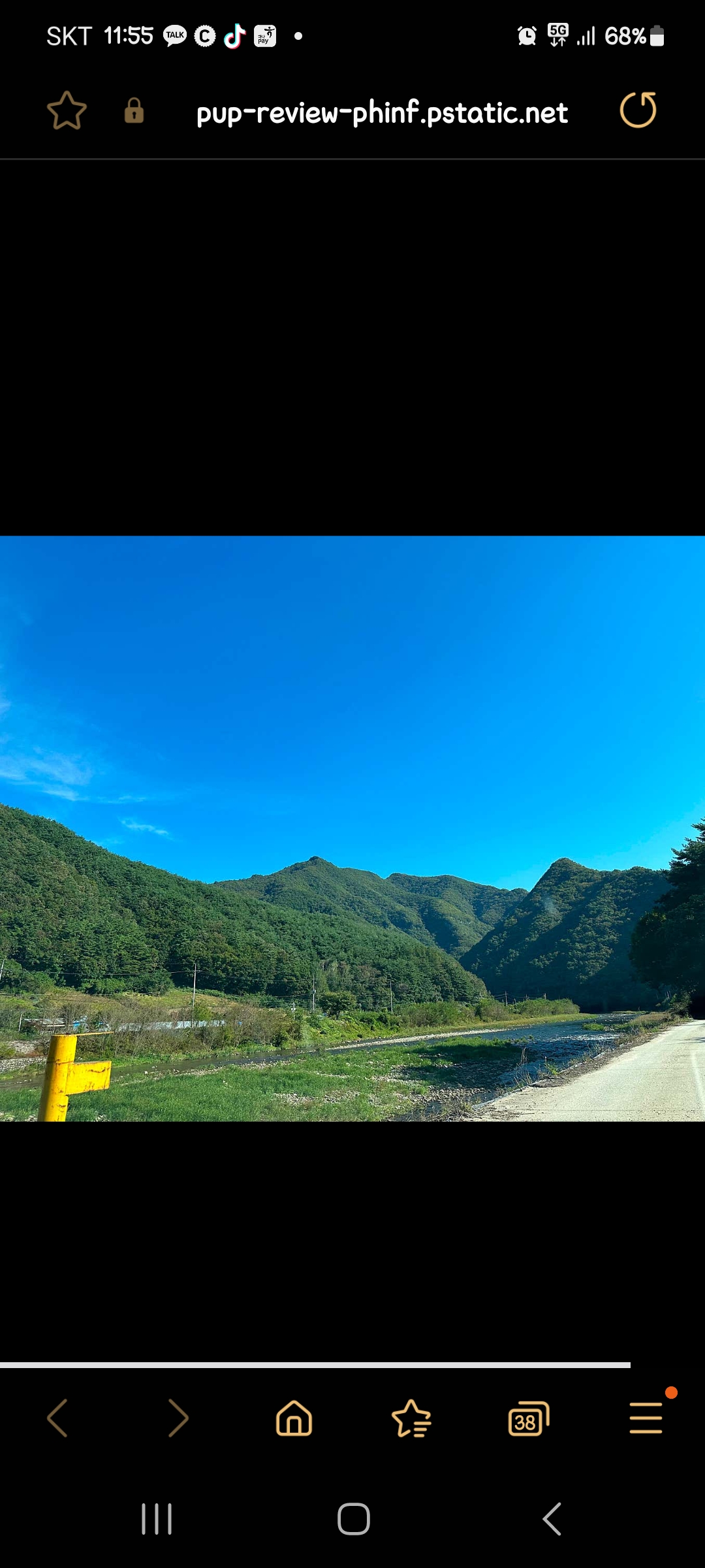 파인트리캠핑장