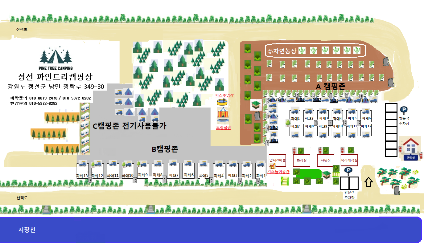 파인트리캠핑장
