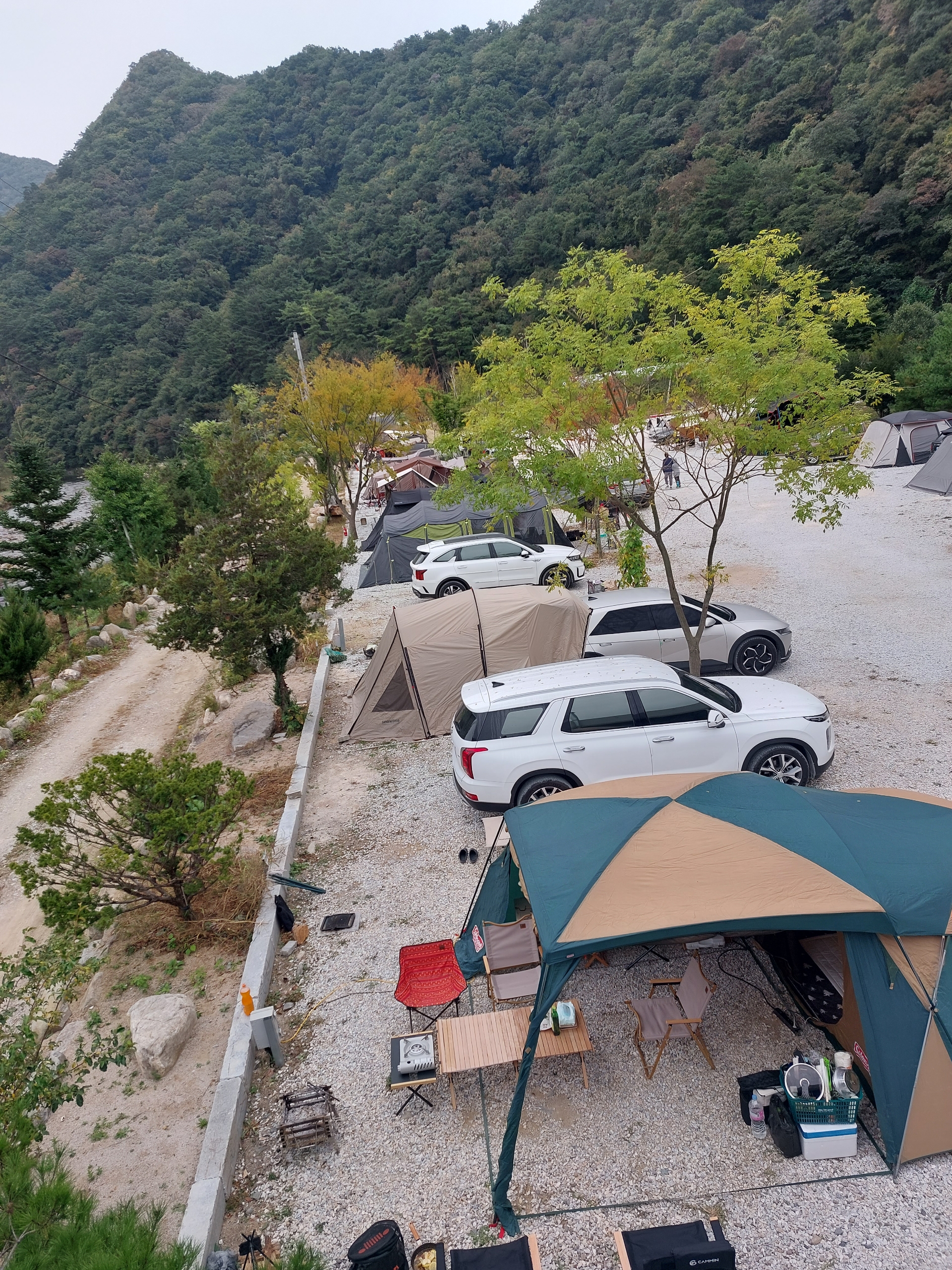 파인트리캠핑장