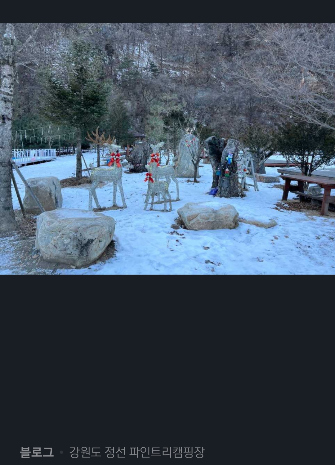 파인트리캠핑장