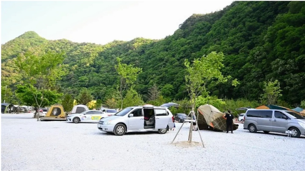 파인트리캠핑장