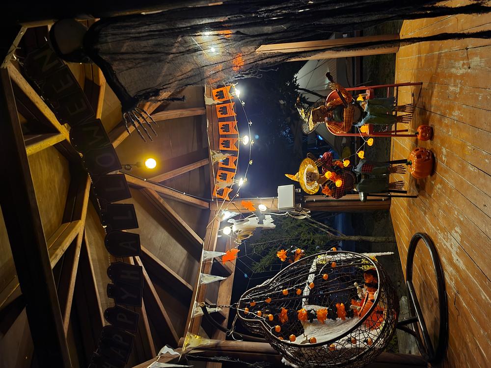 파인트리캠핑장