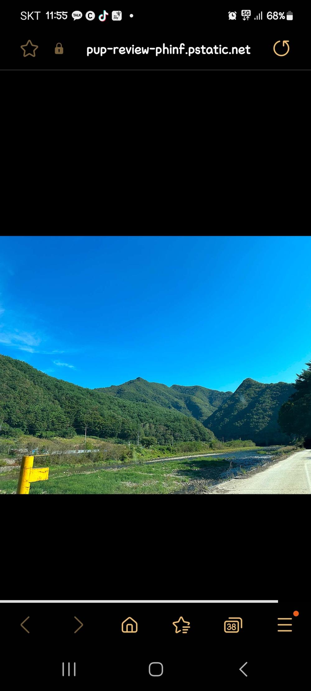 파인트리캠핑장