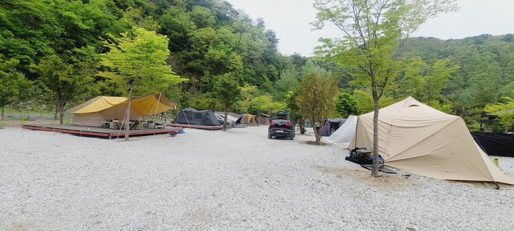 파인트리캠핑장