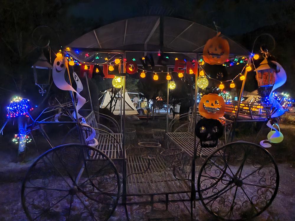 파인트리캠핑장