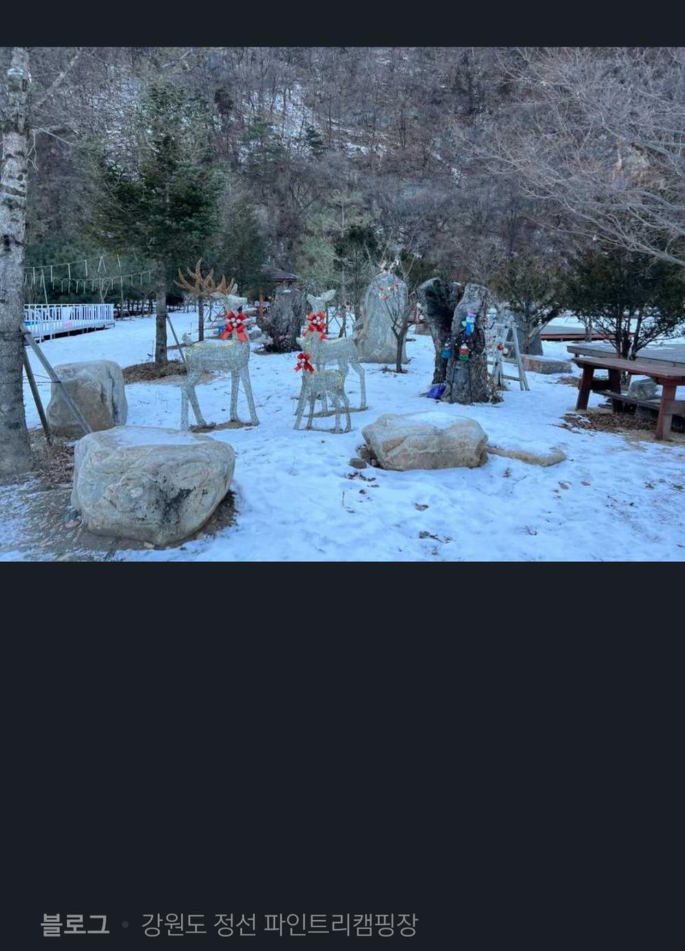 파인트리캠핑장