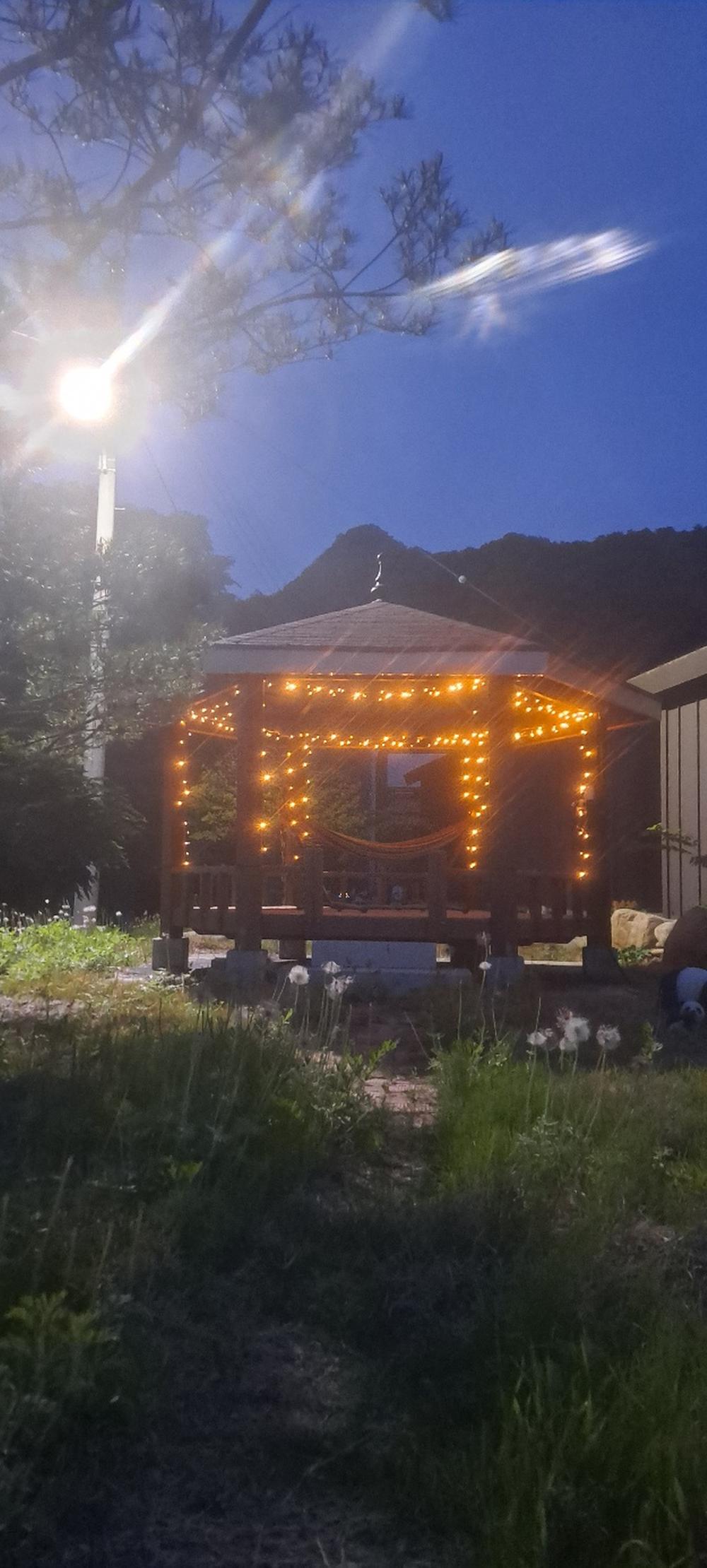 파인트리캠핑장