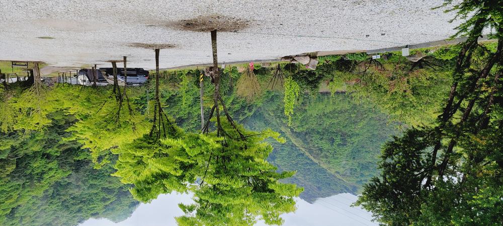 파인트리캠핑장