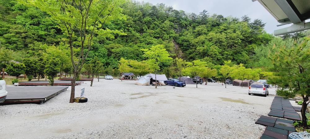 파인트리캠핑장