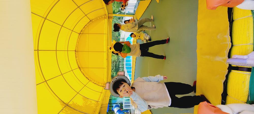 파인트리캠핑장