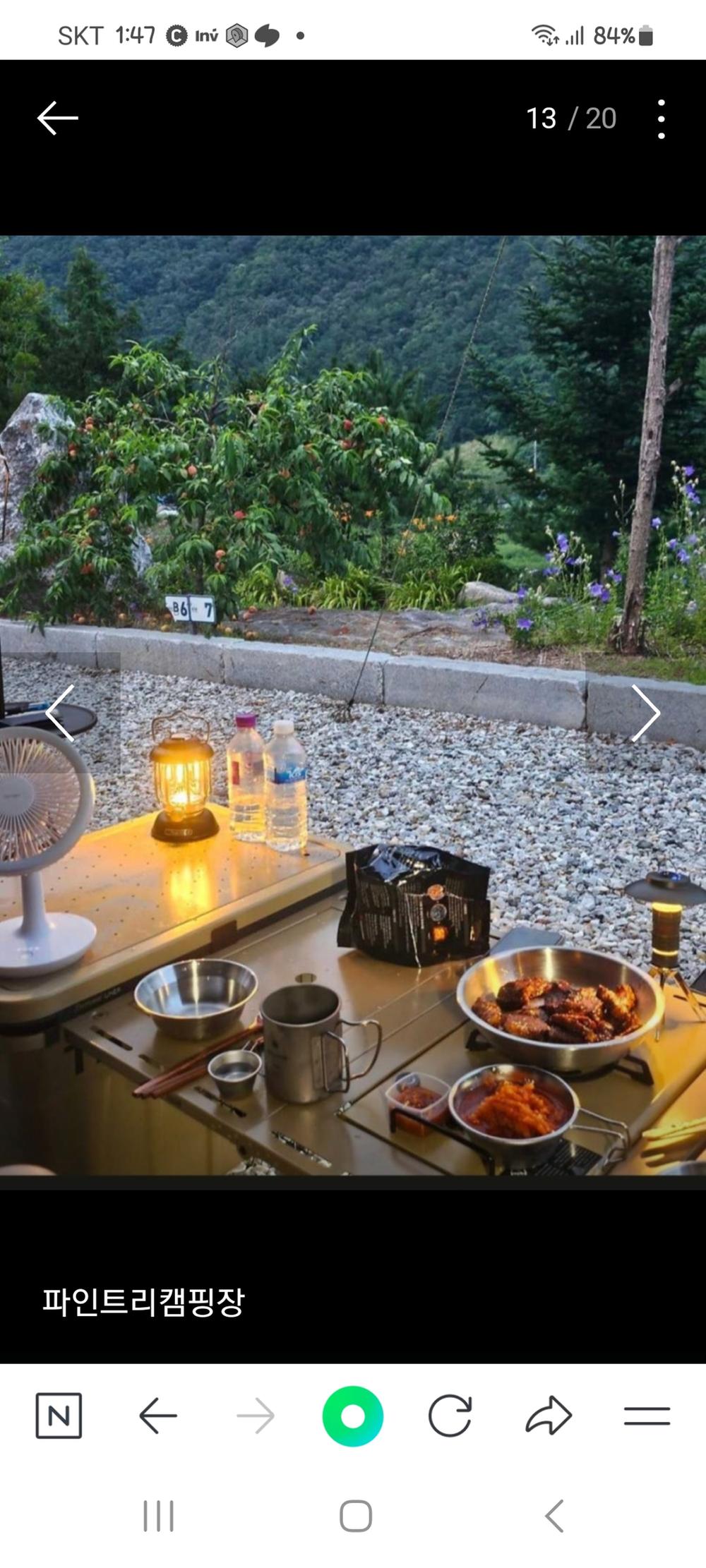 파인트리캠핑장