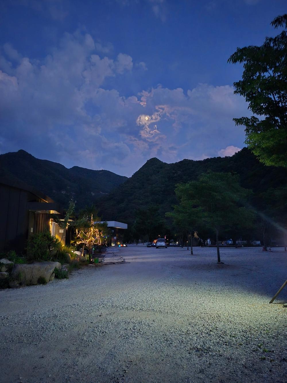 파인트리캠핑장