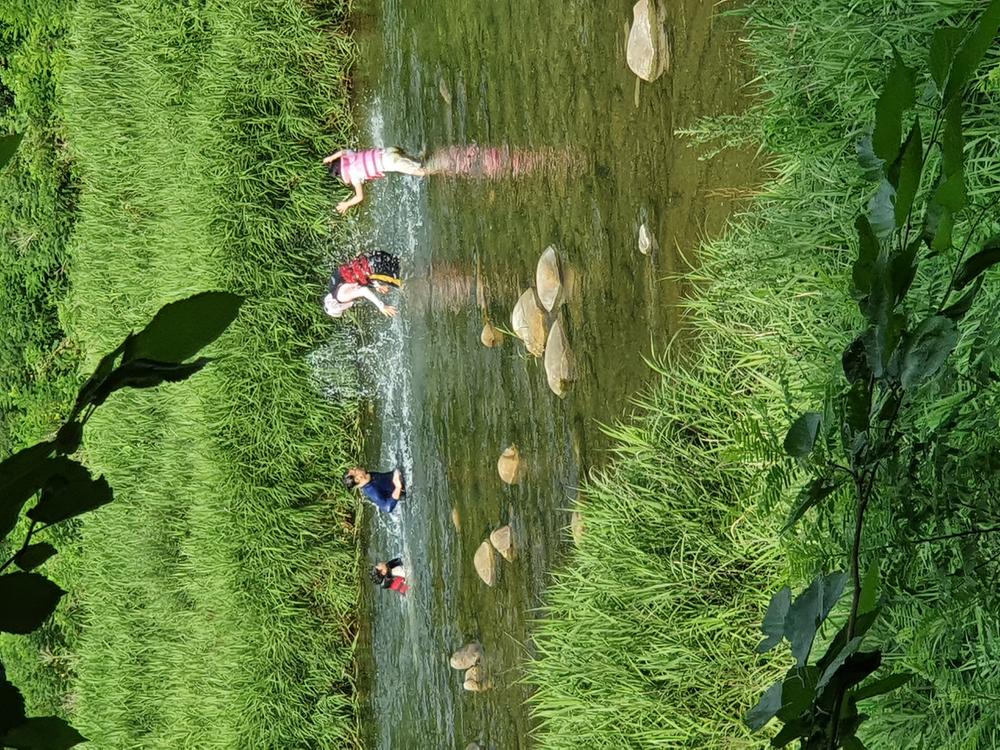 파인트리캠핑장