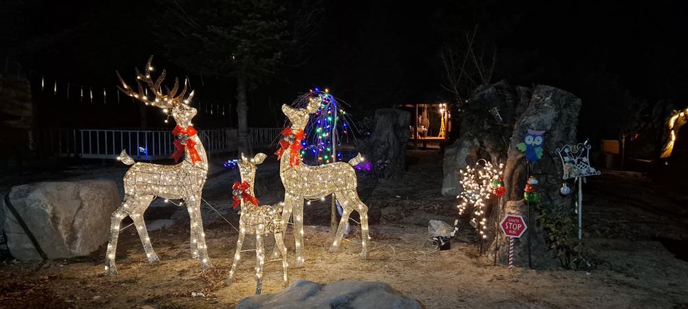 파인트리캠핑장