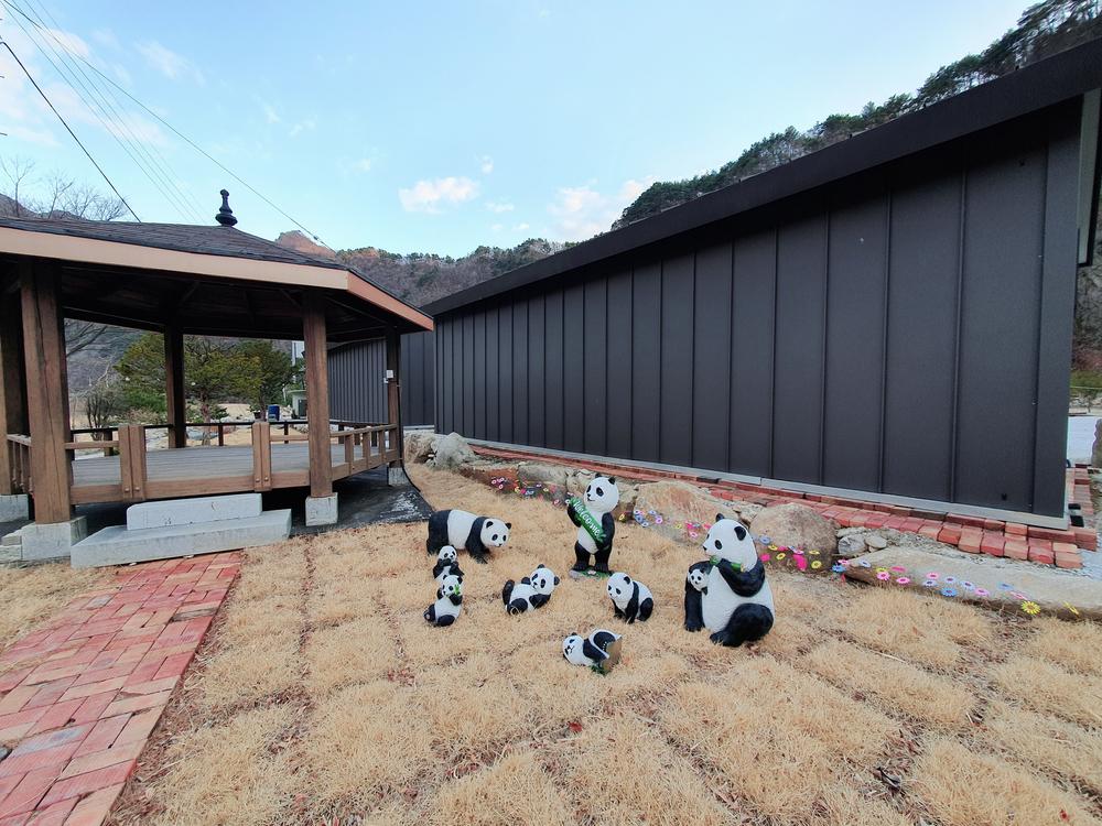 파인트리캠핑장