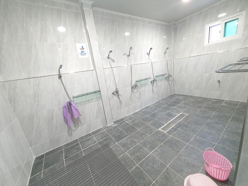 파인트리캠핑장