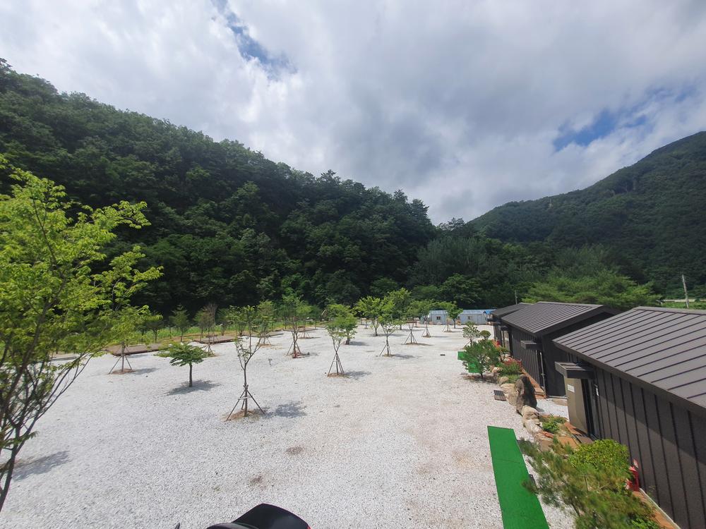 파인트리캠핑장