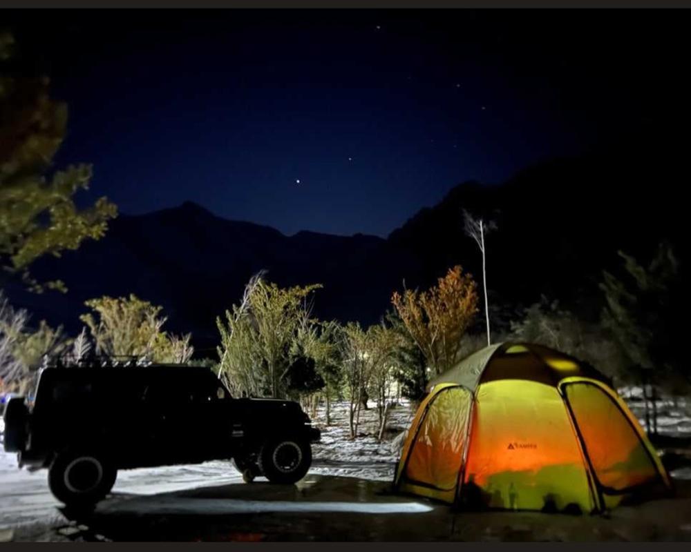 파인트리캠핑장