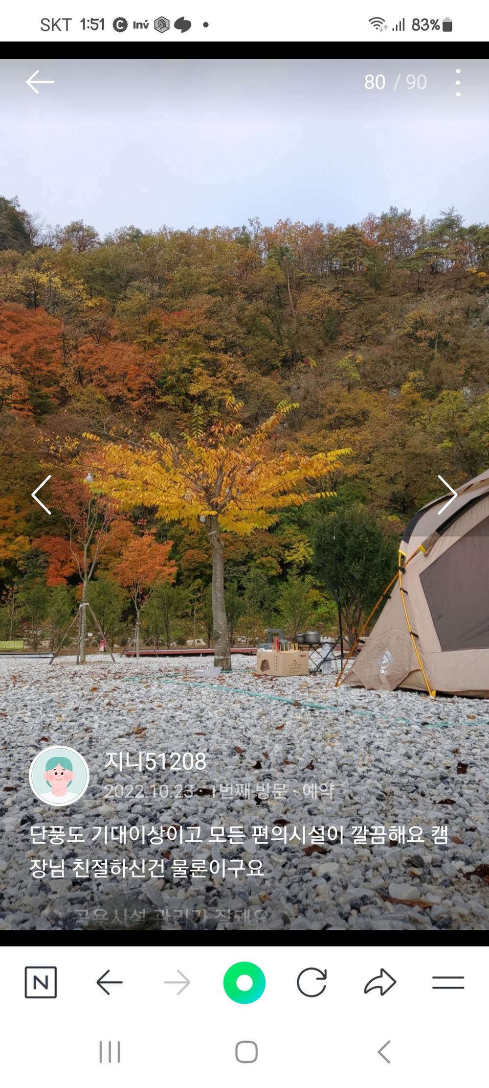 파인트리캠핑장