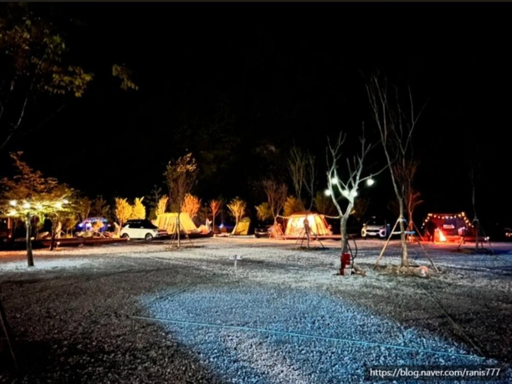 파인트리캠핑장