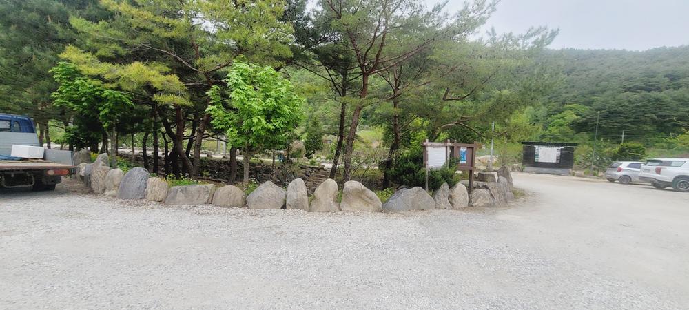 파인트리캠핑장