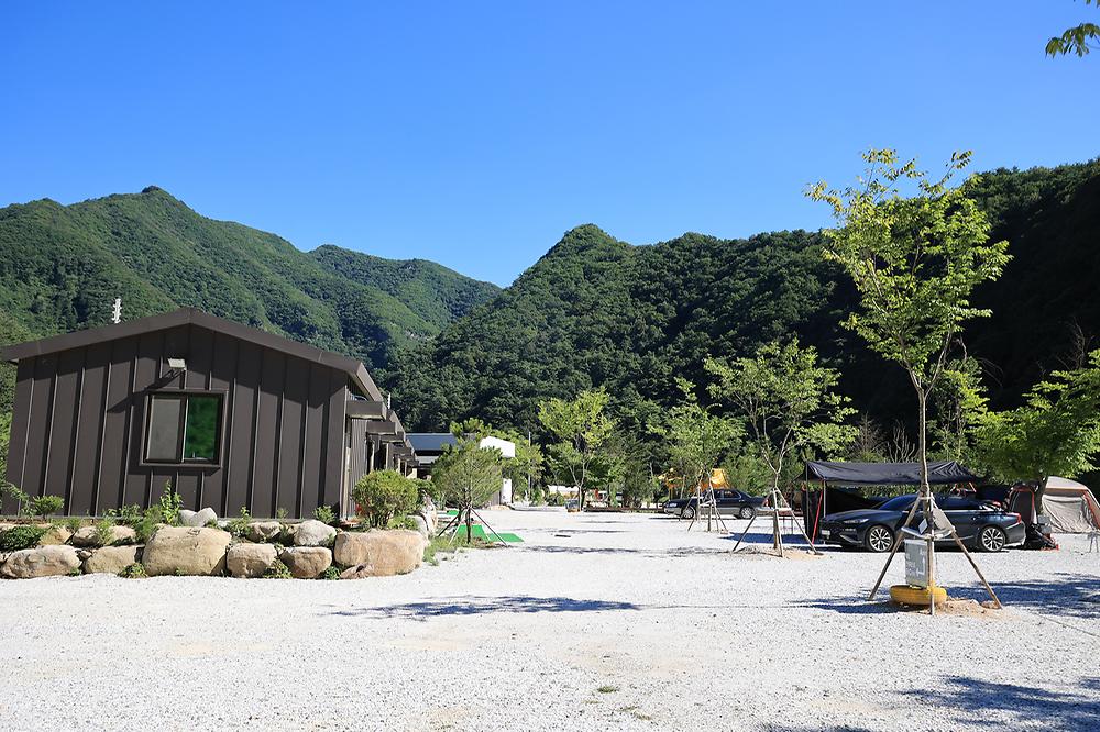 파인트리캠핑장